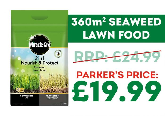Miracle-Gro Seaweed Lawn Food Offer