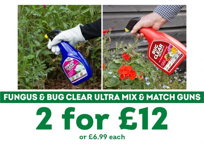 Fungus and Bug Clear Offer