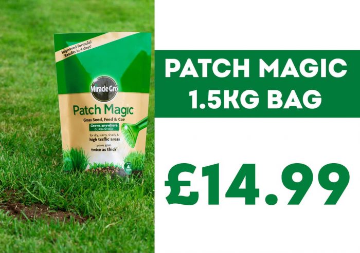 Patch Magic 1.5kg Offer