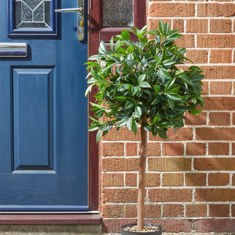Faux Bay tree positioned by a front door